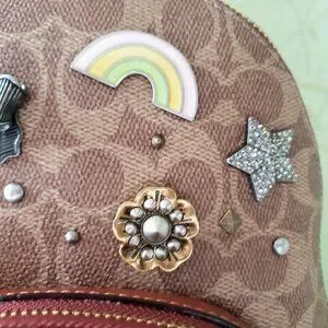 COACH CARRIE BACKPACK 23 W/SOUVENIR 7 PIN CUSTOMIZATION:NWT 1029 1-OF-A-KIND Coach | Bags | Coach Carrie Backpack 23 Wsouvenir 7 Pin  main image 3